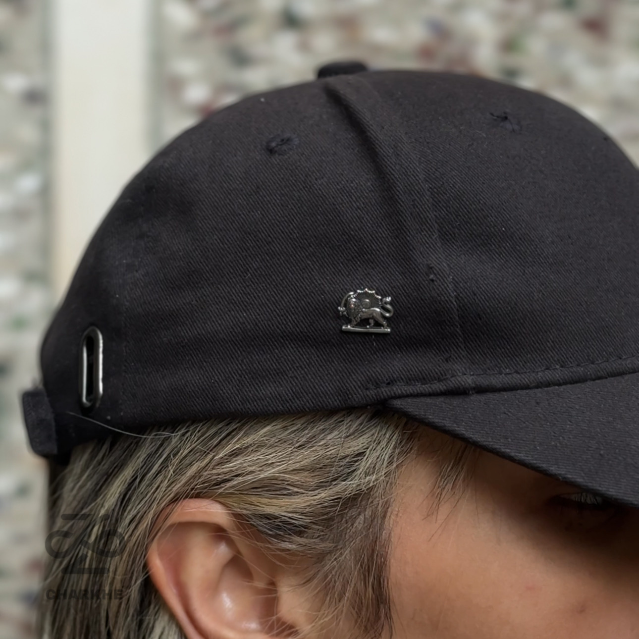 پیرسینگ شیر و خورشید