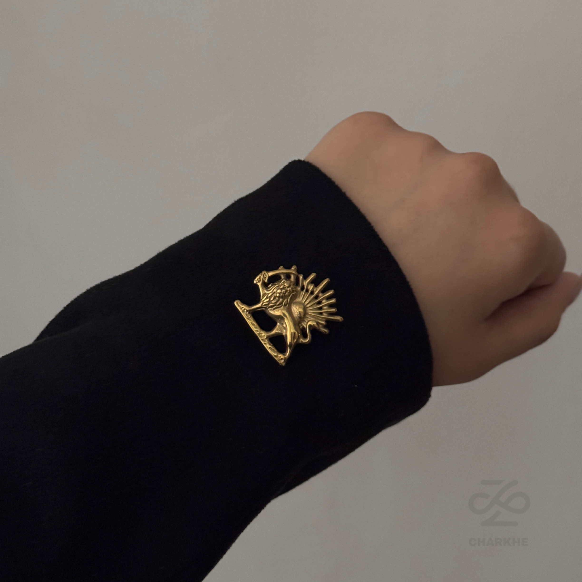 پین لباس شیر و خورشید