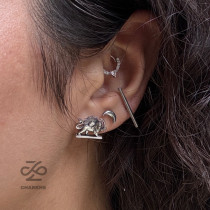 پیرسینگ شیر و خورشید