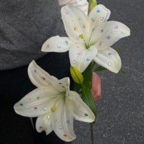 نگین چسبی گل
